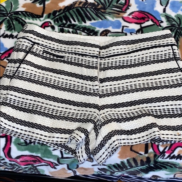 LOFT Pants - Loft Rivera Short size 8